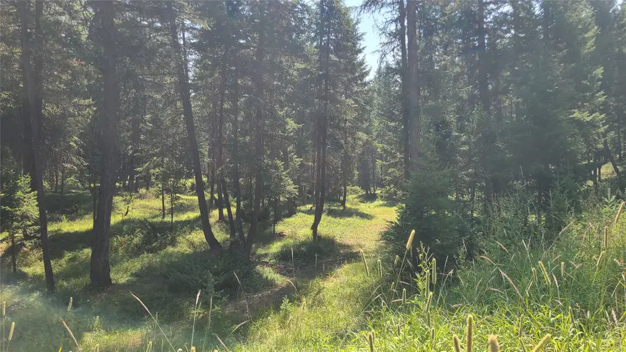 128 Whitefish Forest Loop, Whitefish, MT 59937 - #3
