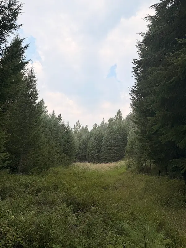 47466 Harmony Lane, Proctor, MT 59929