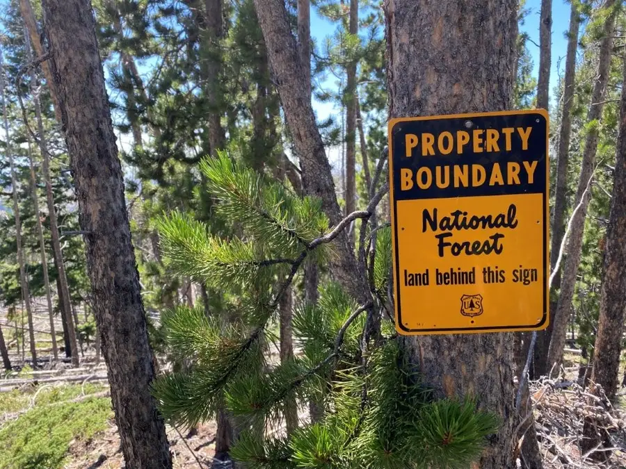 Anna Indian Creek Road, Townsend, MT 59644 - #3