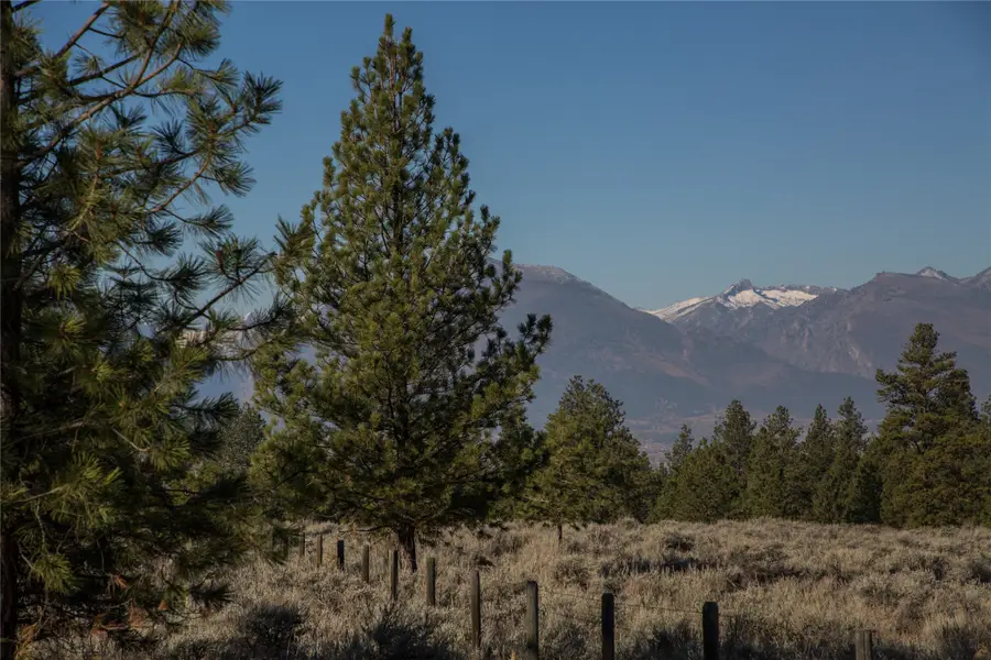 NHNs Lord Byron Trail, Hamilton, MT 59840 - #2