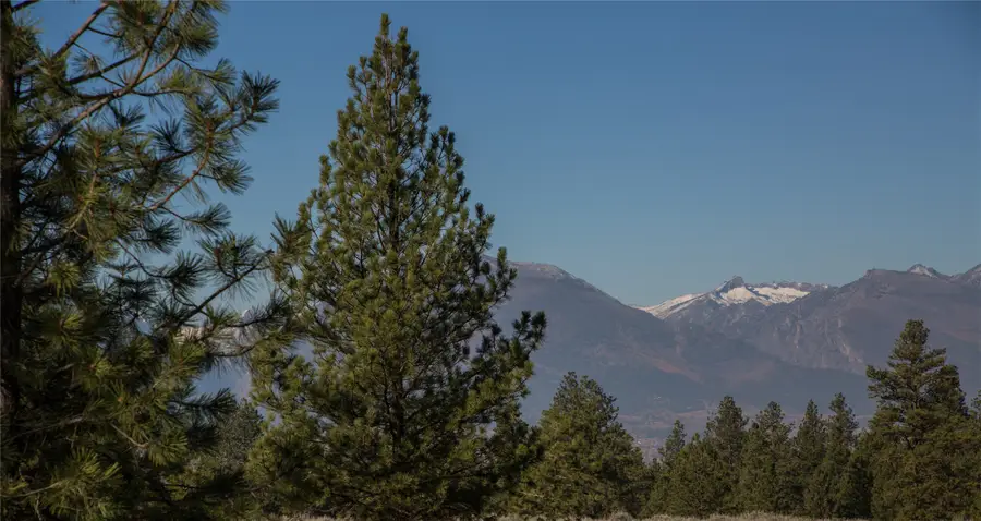 NHNs Lord Byron Trail, Hamilton, MT 59840 - #3