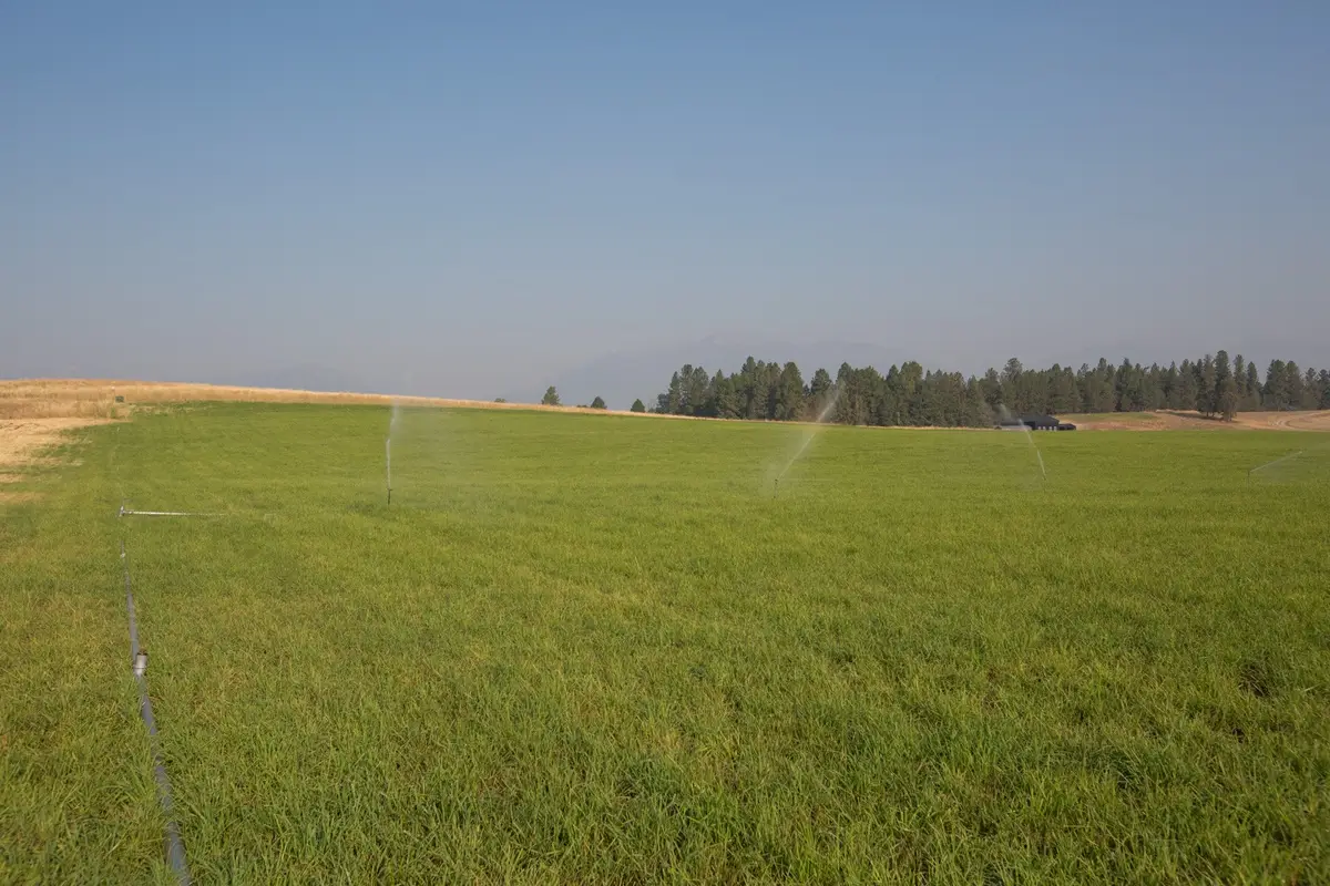 1018 Majestic Pine Place, Stevensville, MT 59870 - #1
