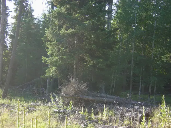 NHN Lot 10 Davis Creek Road, Libby, MT 59923