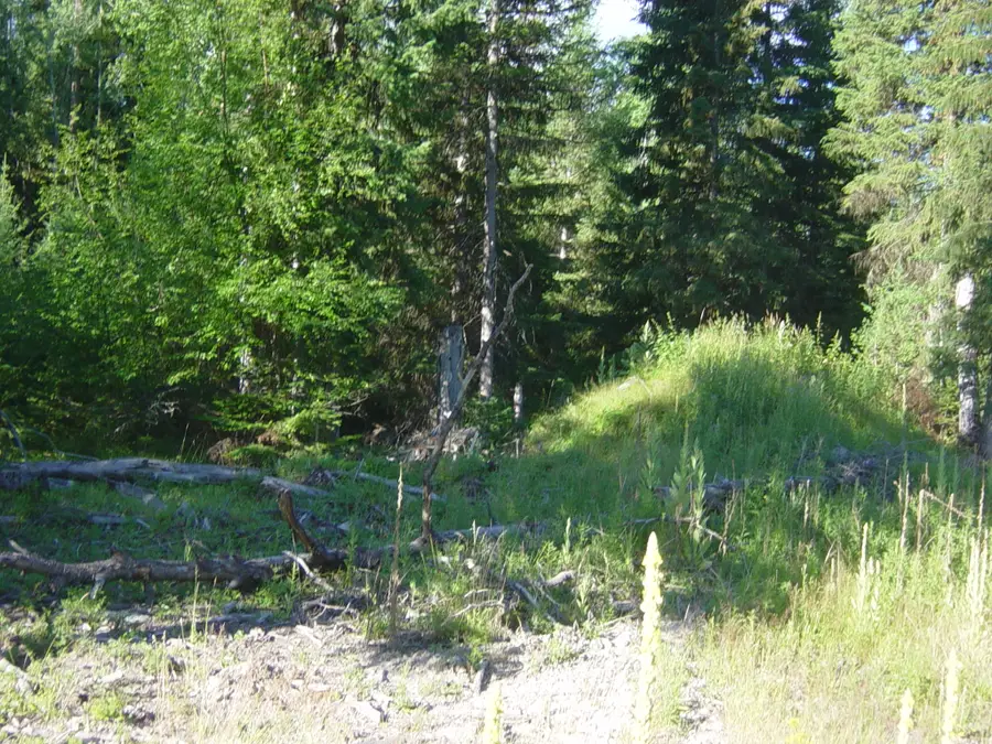 NHN Lot 10 Davis Creek Road, Libby, MT 59923 - #2