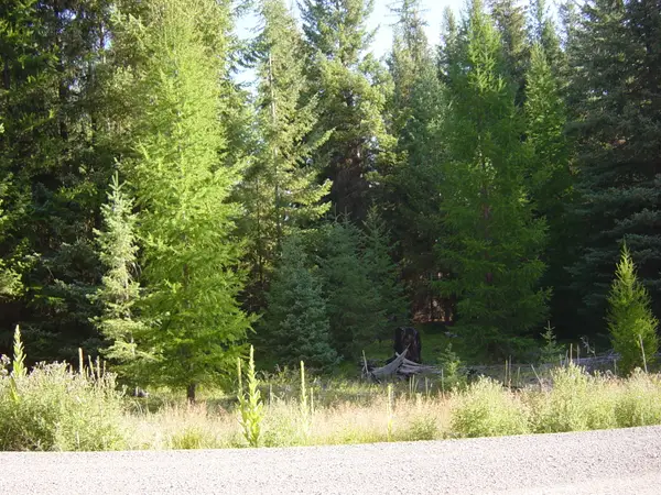 NHN Lot 11 Davis Creek Road, Libby, MT 59923