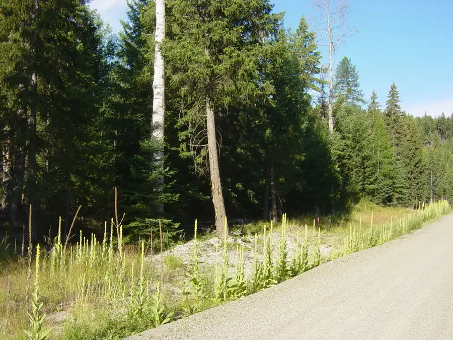 NHN Lot 11 Davis Creek Road, Libby, MT 59923 - #3