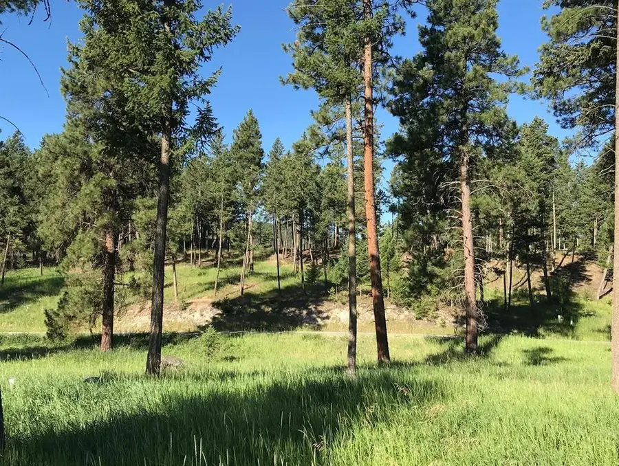 Lot 2 Black Lake Road, Rexford, MT 59930 - #2