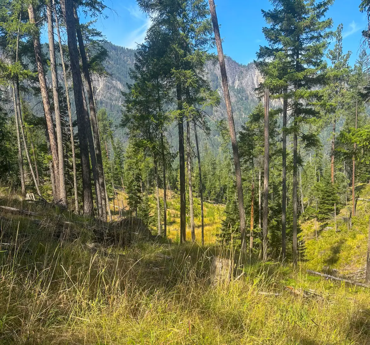 22 Flatiron Way, Thompson Falls, MT 59873 - #1