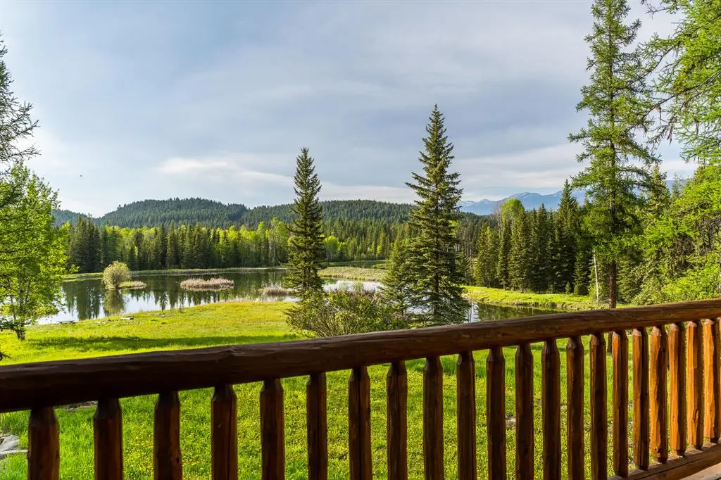 463 Tamarack Creek Road, Whitefish, MT 59937 - #1