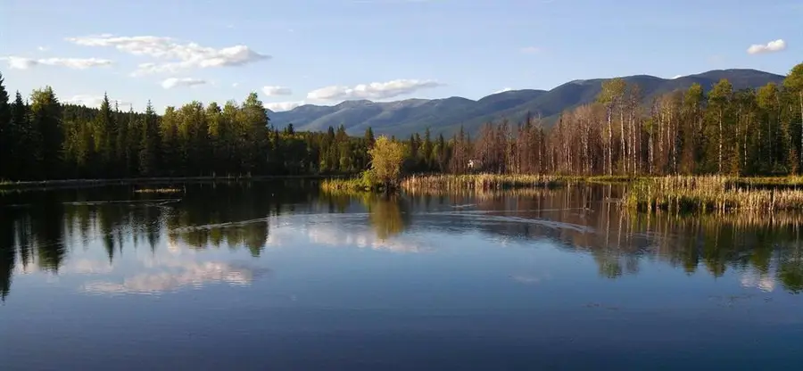 463 Tamarack Creek Road, Whitefish, MT 59937 - #2
