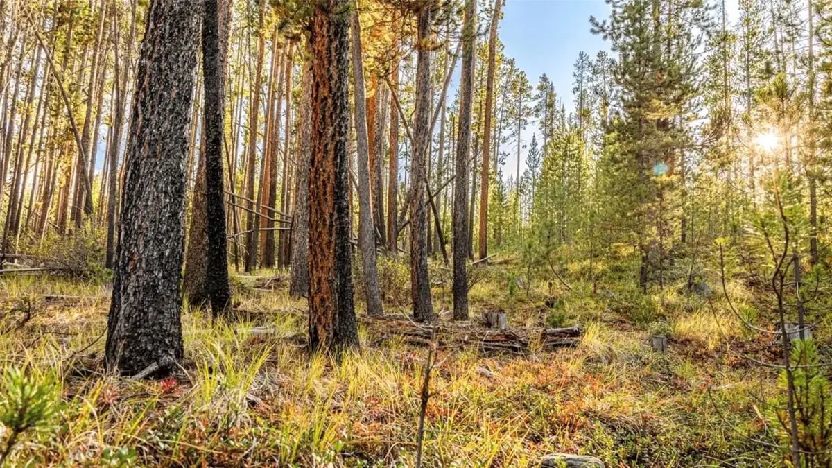 Lot 7 TBD Mitchell Drive, Anaconda, MT 59711 - #1