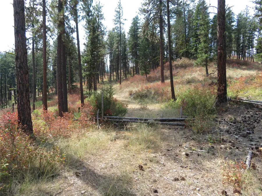 NHN Rosco Road, Alberton, MT 59820 - #2
