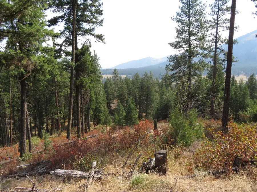 NHN Rosco Road, Alberton, MT 59820 - #3