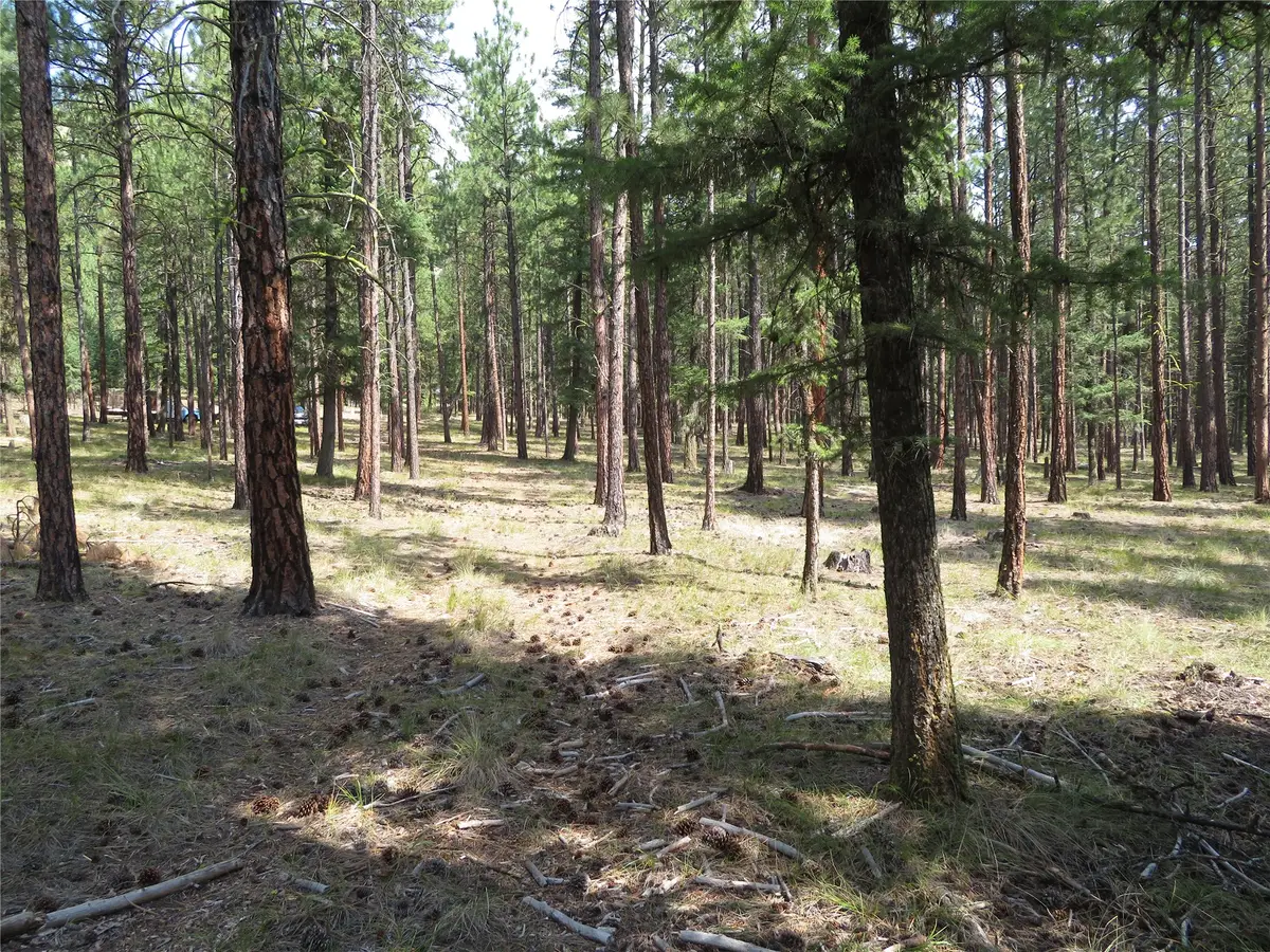 NHN Rosco Road, Alberton, MT 59820 - #1