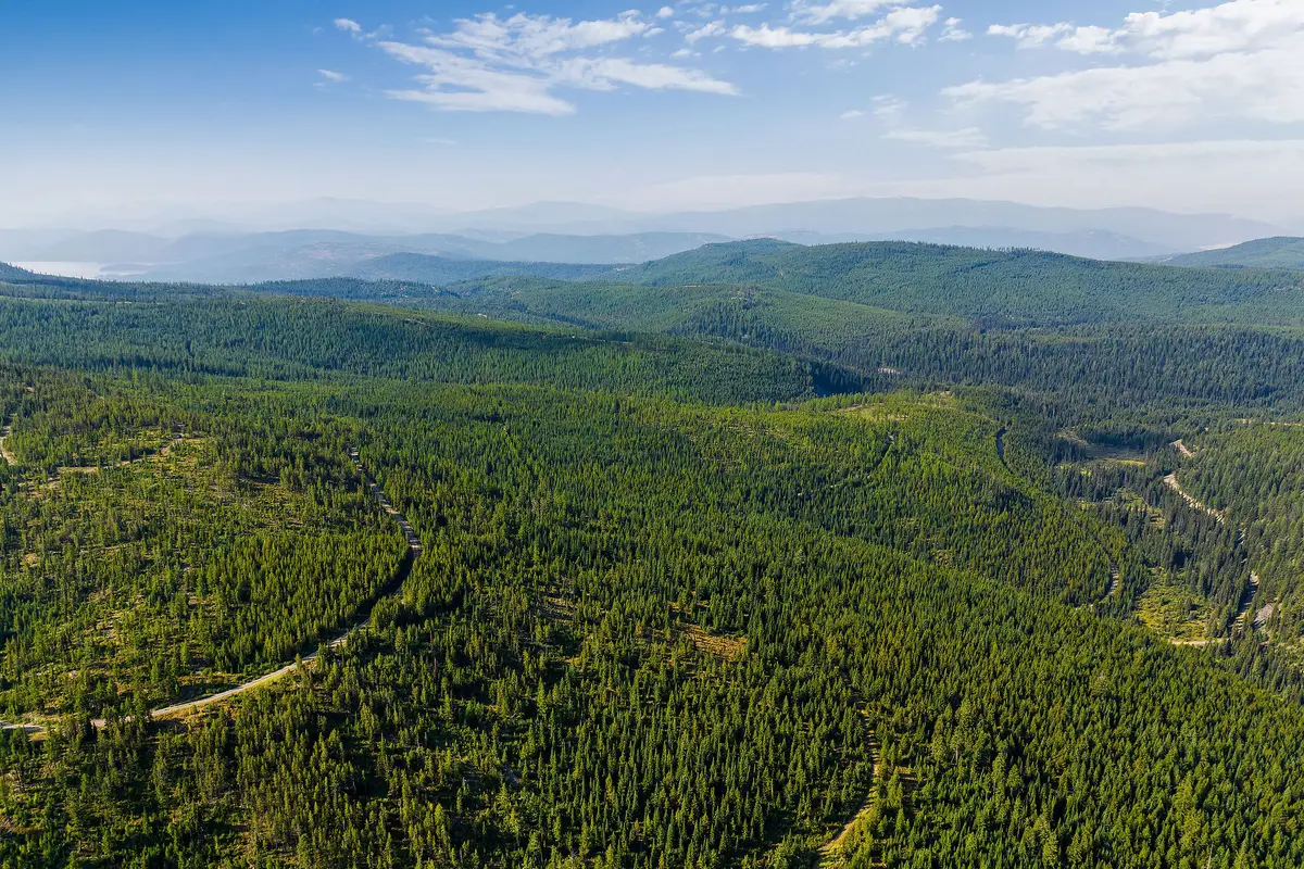 Nhn Griffin Creek Road, Marion, MT 59925 - #1