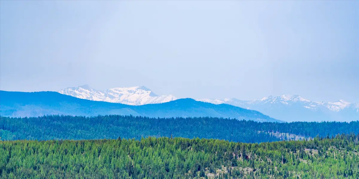 Nhn Griffin Creek Road, Marion, MT 59925 - #1