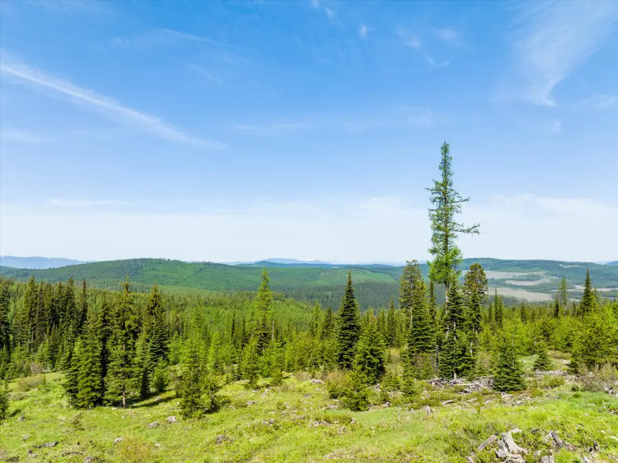 Nhn Griffin Creek Road, Marion, MT 59925 - #2