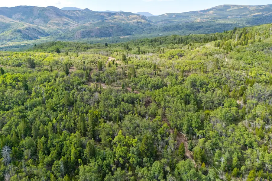 Tract A Tbd, Anaconda, MT 59711 - #2