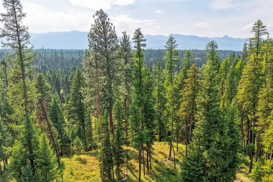 NHN Highway 83 N, Condon, MT 59826 - #2