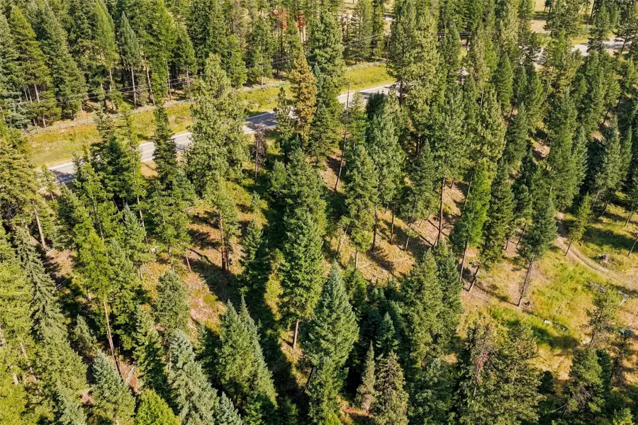 NHN Highway 83 N, Condon, MT 59826 - #3