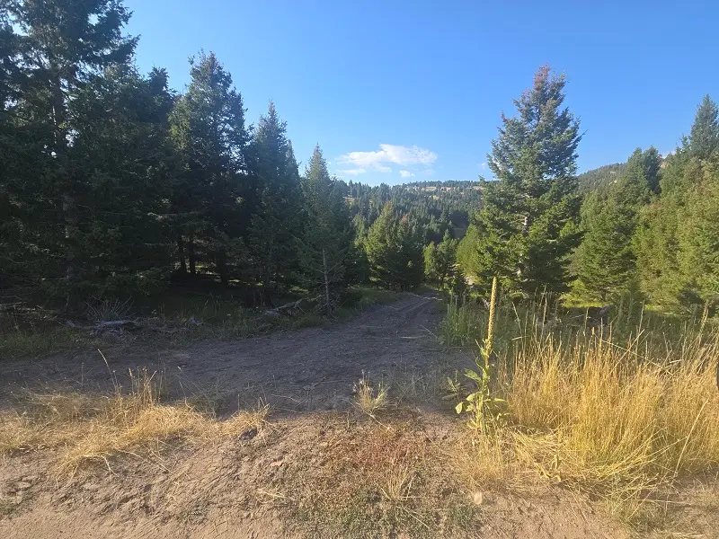 28 Muskrat Road, Helmville, MT 59843 - #2