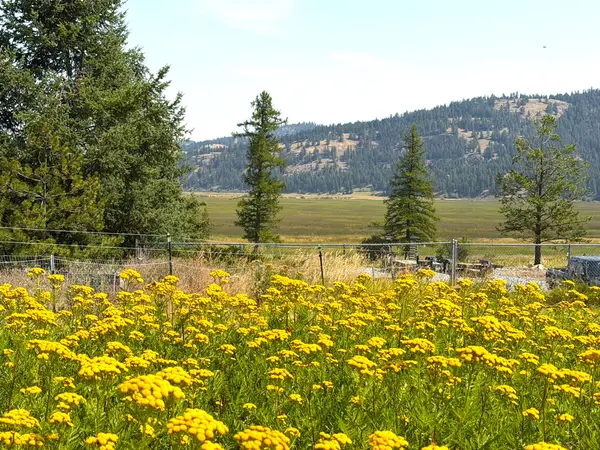 200 Cottage Lane, Kila, MT 59920