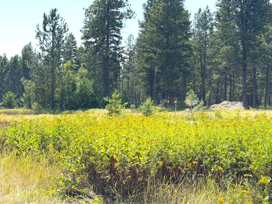 200 Cottage Lane, Kila, MT 59920 - #2