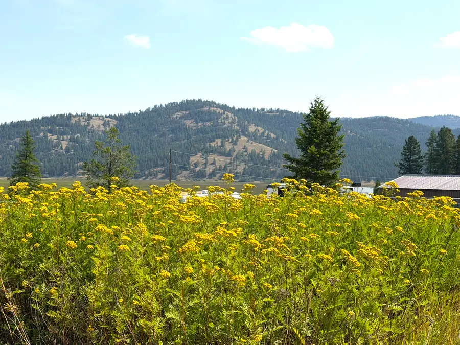 200 Cottage Lane, Kila, MT 59920 - #3