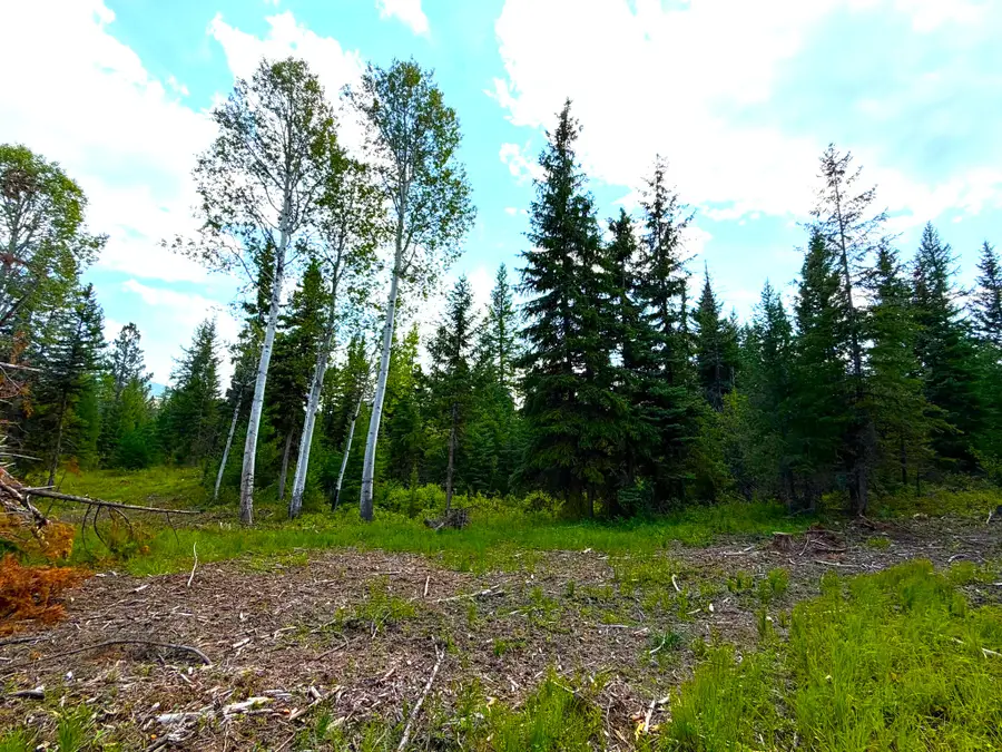 468 Haskill Ranch Road, Kila, MT 59920 - #3