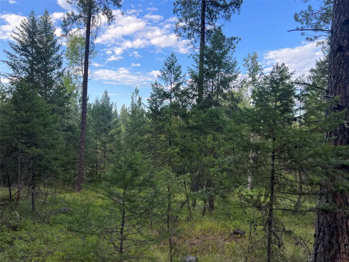 TBD Granite Lake Road #6, Libby, MT 59923 - #1
