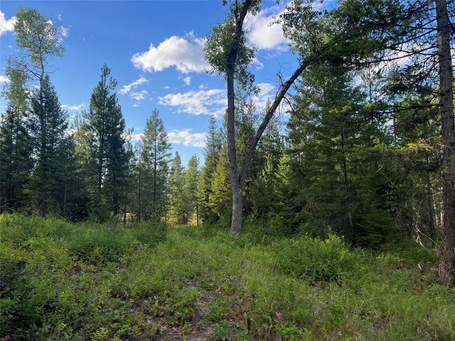 TBD Granite Lake Road #6, Libby, MT 59923 - #3