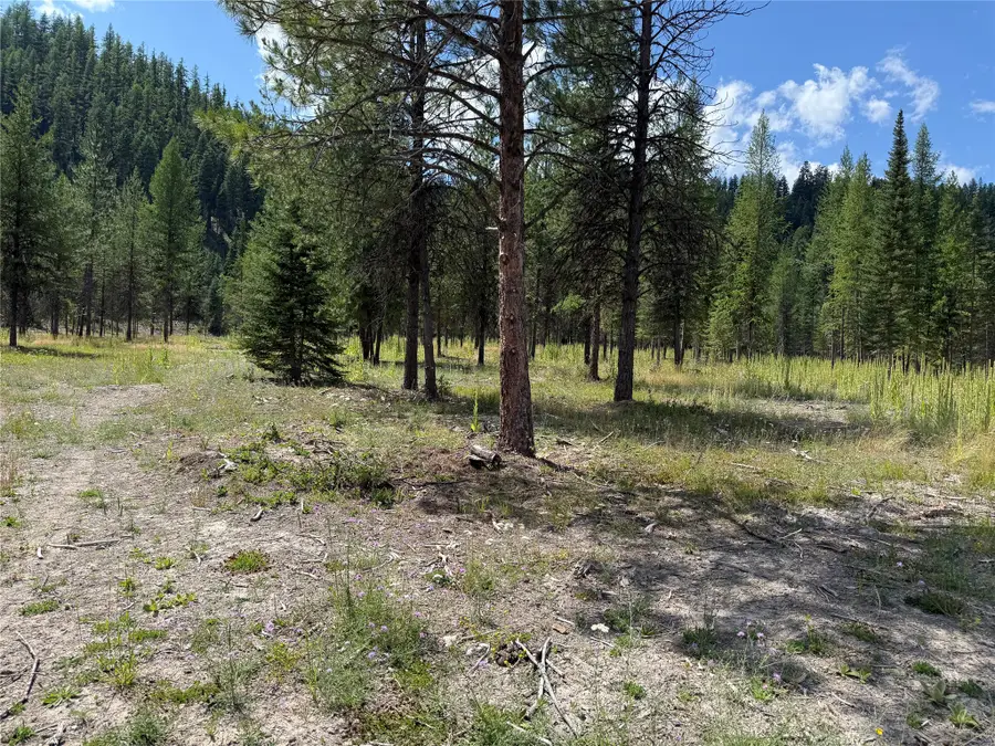 TBD Lot12 Schrieber Lake Subdivision, Libby, MT 59923 - #3