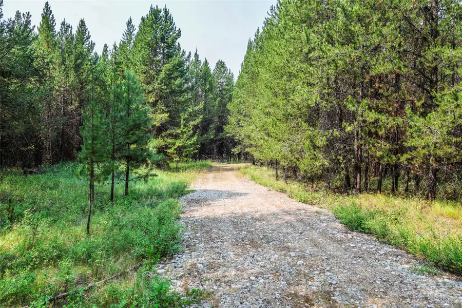 187 Osprey Way, Marion, MT 59925 - #2