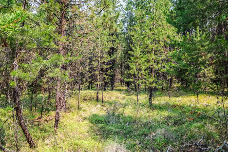 187 Osprey Way, Marion, MT 59925 - #3
