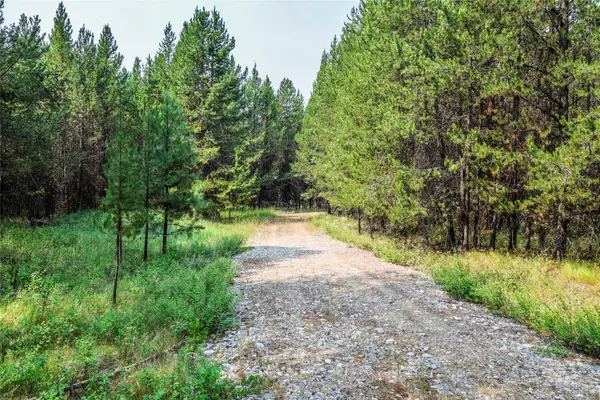 195 Osprey Way, Marion, MT 59925