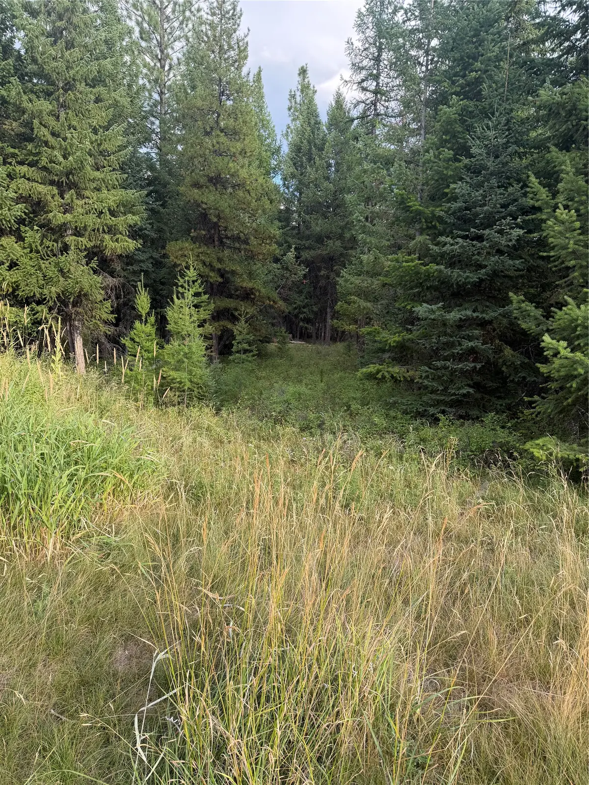 125 Conley Court, Kila, MT 59920 - #1