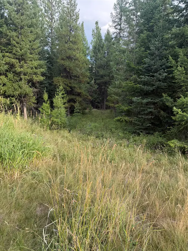 125 Conley Court, Kila, MT 59920
