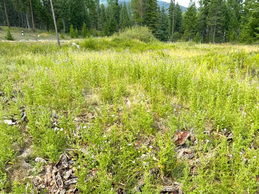 95 Blaney Lane #Lot-4, Kila, MT 59920 - #2