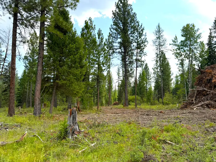 95 Blaney Lane #Lot-4, Kila, MT 59920 - #3