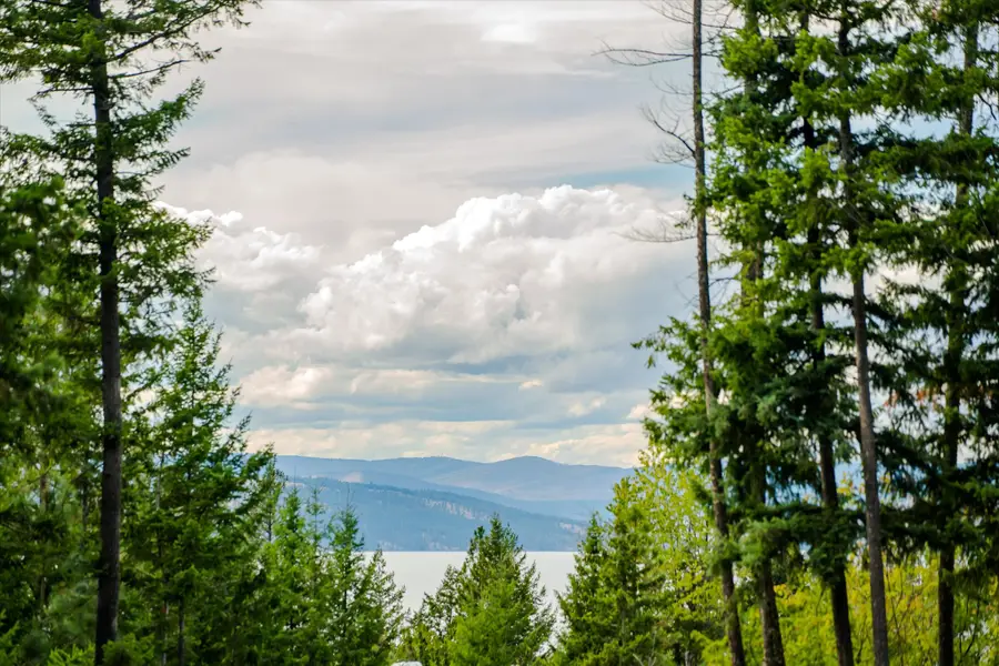 28270 Liebig Lane, Polson, MT 59860 - #2