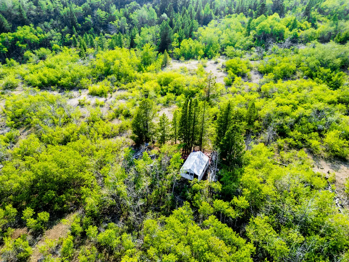 NHN Bear Paw Trail, Anaconda, MT 59711 - #1