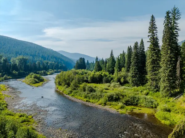 TBD Cedar Drive, Yaak, MT 59935