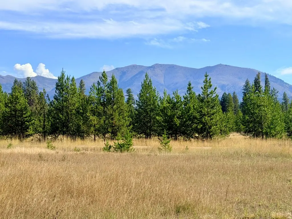 422 Daisy Lane, Seeley Lake, MT 59868 - #1