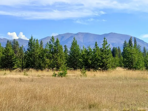 422 Daisy Lane, Seeley Lake, MT 59868