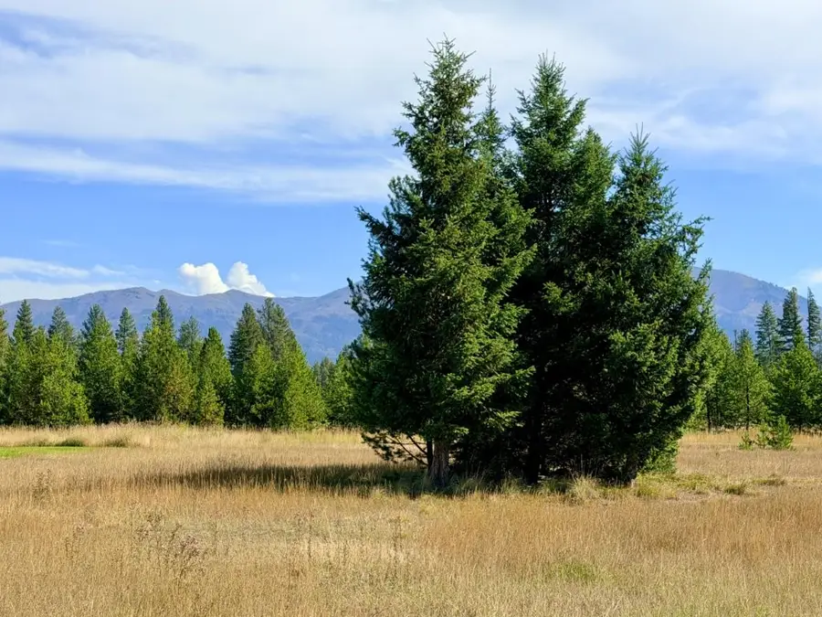 422 Daisy Lane, Seeley Lake, MT 59868 - #2