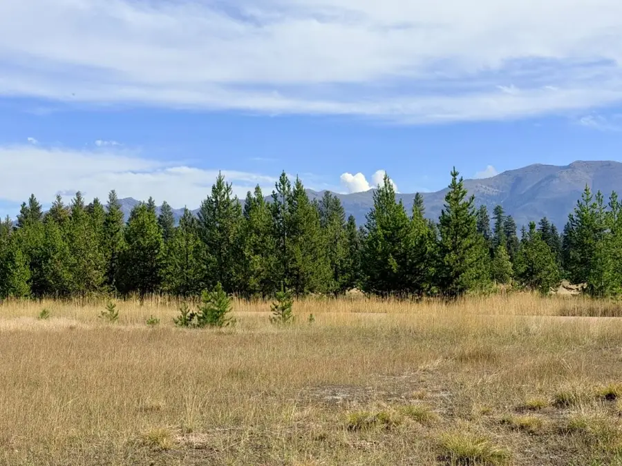 422 Daisy Lane, Seeley Lake, MT 59868 - #3