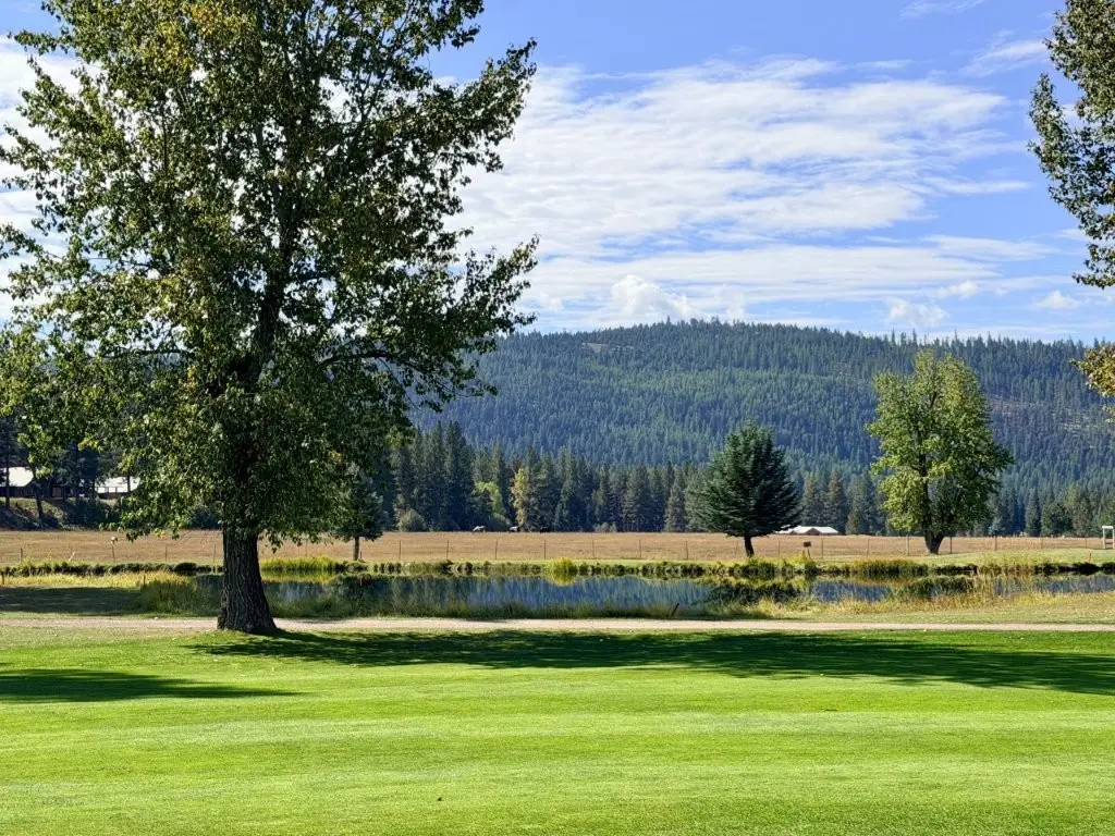1308 Golf View Drive, Seeley Lake, MT 59868 - #1