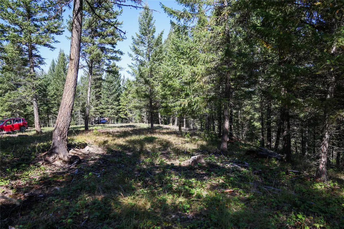 Lot 2 Tobacco Road, Eureka, MT 59917 - #1