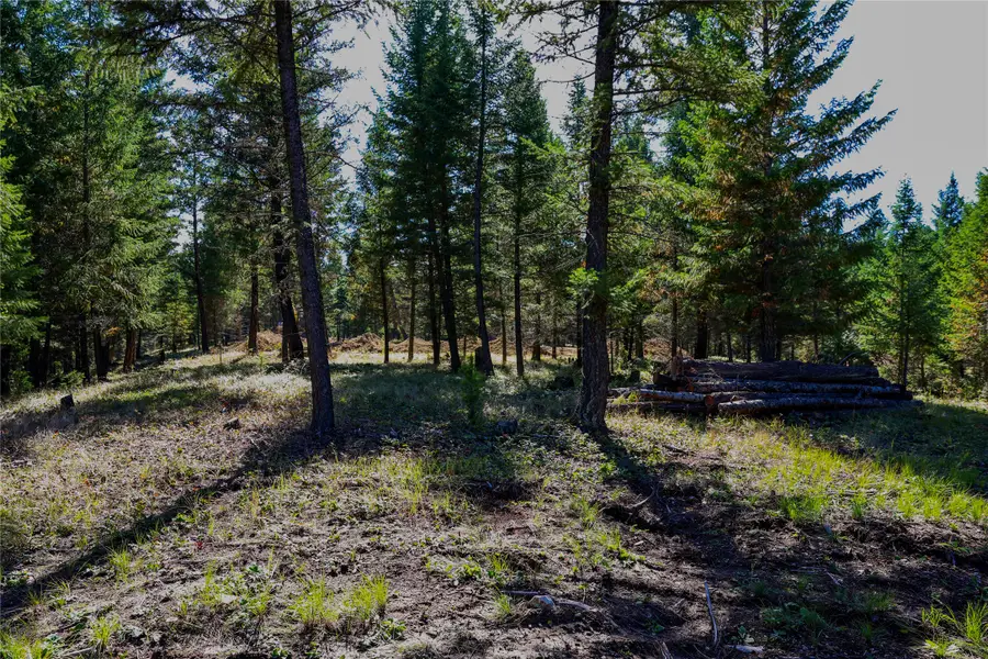 Lot 2 Tobacco Road, Eureka, MT 59917 - #2
