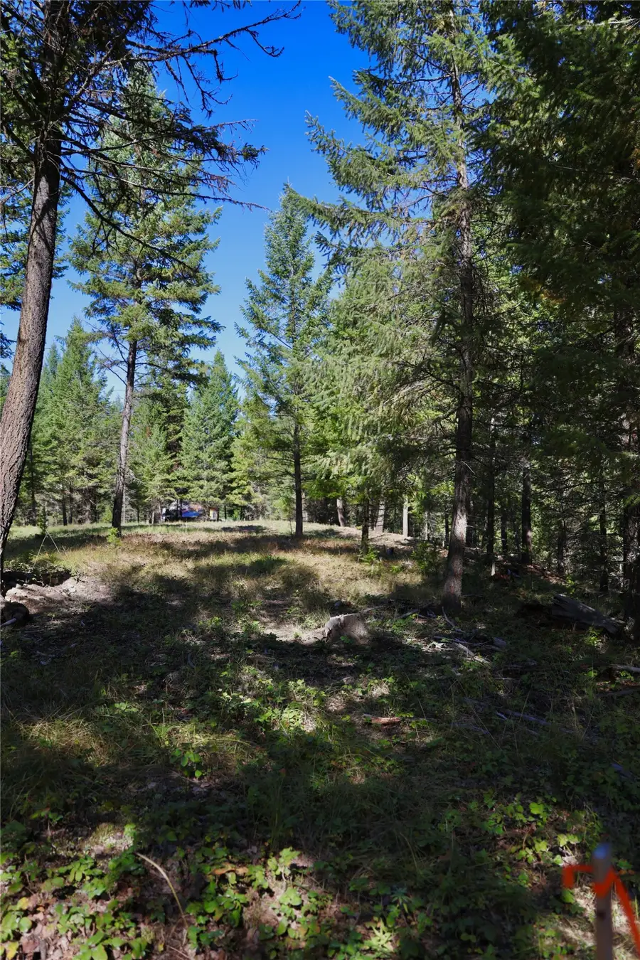 Lot 2 Tobacco Road, Eureka, MT 59917 - #3